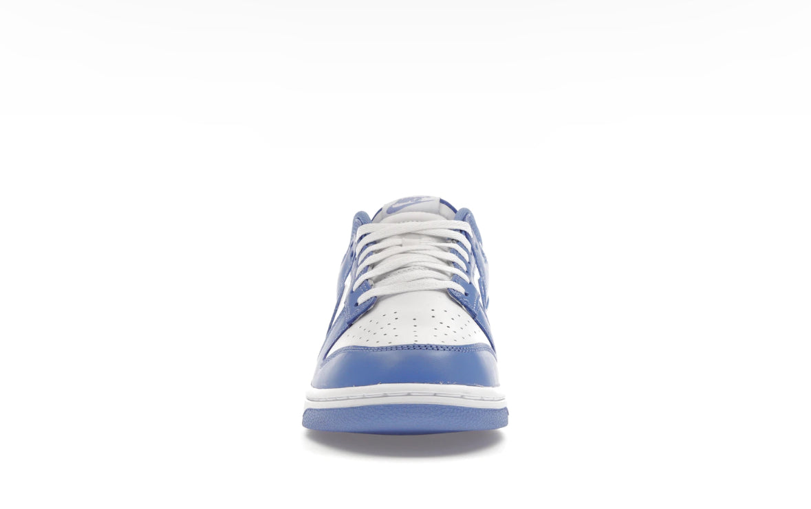 Nike Dunk Low Polar Blue